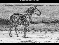 IMG049 (1) (1) (1) (1) (1) (1) (1) (1) (1) (1)