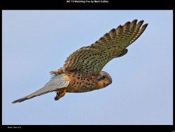 IMG049 (1) (1) (1) (1) (1) (1) (1) (1) (1) (1) (1)