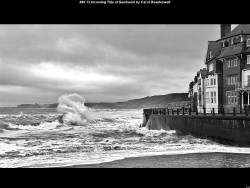 IMG049 (1) (1) (1) (1) (1) (1) (1) (1) (1) (1) (1) (1) (1) (1)