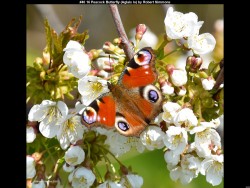 IMG050 (1) (1) (1) (1) (1)