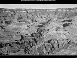 IMG050 (1) (1) (1) (1) (1) (1) (1) (1)