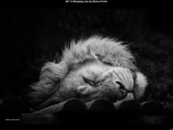 IMG050 (1) (1) (1) (1) (1) (1) (1) (1) (1)