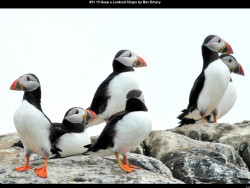 IMG050 (1) (1) (1) (1) (1) (1) (1) (1) (1) (1) (1)