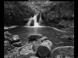 IMG050 (1) (1) (1) (1) (1) (1) (1) (1) (1) (1) (1) (1)