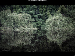 IMG050 (1) (1) (1) (1) (1) (1) (1) (1) (1) (1) (1) (1) (1) (1) (1)