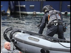 IMG051 (1) (1) (1) (1)