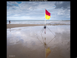 IMG051 (1) (1) (1) (1) (1) (1) (1) (1) (1) (1)