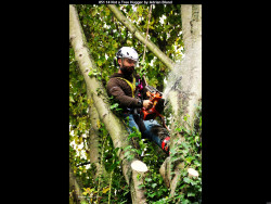 IMG051 (1) (1) (1) (1) (1) (1) (1) (1) (1) (1) (1) (1) (1) (1)