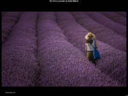 IMG052 (1) (1) (1) (1) (1) (1) (1) (1)