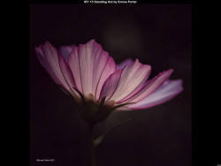 IMG052 (1) (1) (1) (1) (1) (1) (1) (1) (1) (1)