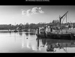 IMG052 (1) (1) (1) (1) (1) (1) (1) (1) (1) (1) (1)