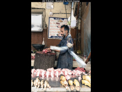 IMG052 (1) (1) (1) (1) (1) (1) (1) (1) (1) (1) (1) (1)