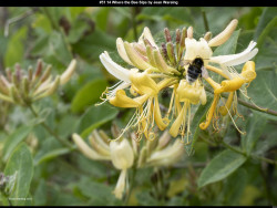 IMG052 (1) (1) (1) (1) (1) (1) (1) (1) (1) (1) (1) (1) (1) (1)