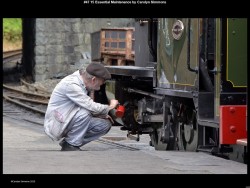 IMG053 (1) (1) (1) (1)