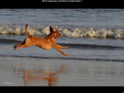 IMG053 (1) (1) (1) (1) (1)