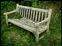 IMG053 (1) (1) (1) (1) (1) (1) (1)