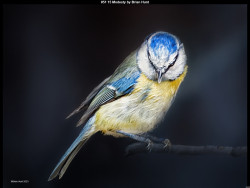 IMG053 (1) (1) (1) (1) (1) (1) (1) (1) (1) (1)