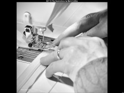 IMG053 (1) (1) (1) (1) (1) (1) (1) (1) (1) (1) (1) (1) (1)