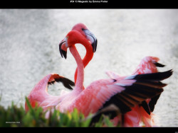 IMG053 (1) (1) (1) (1) (1) (1) (1) (1) (1) (1) (1) (1) (1) (1)