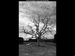 IMG054 (1) (1) (1) (1) (1) (1) (1) (1)