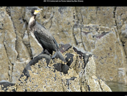 IMG054 (1) (1) (1) (1) (1) (1) (1) (1) (1)