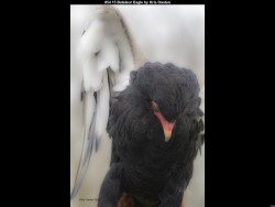 IMG055 (1) (1) (1) (1) (1)