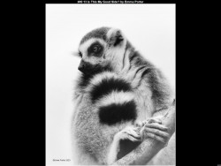 IMG055 (1) (1) (1) (1) (1) (1) (1) (1) (1)