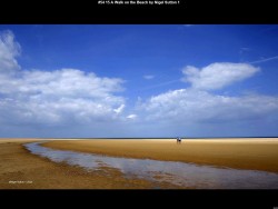 IMG056 (1) (1) (1) (1)