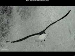 IMG057 (1) (1) (1) (1)