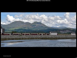 IMG058 (1) (1) (1) (1)