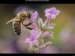 IMG058 (1) (1) (1) (1) (1) (1)