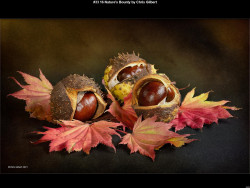 IMG059 (1) (1) (1) (1) (1) (1)