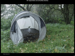 IMG061 (1) (1) (1) (1)