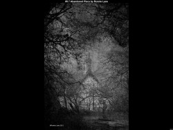 IMG063 (1) (1) (1) (1)