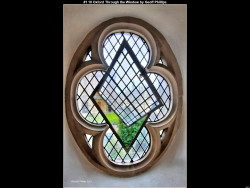 IMG066 (1) (1) (1) (1)