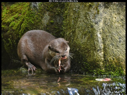 IMG068 (1) (1) (1) (1) (1)