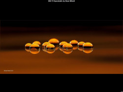 IMG069 (1) (1) (1) (1) (1)