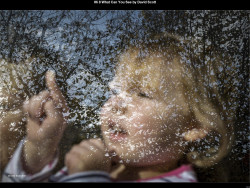 IMG071 (1) (1) (1) (1)