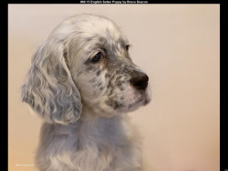 IMG071 (1) (1) (1) (1) (1)