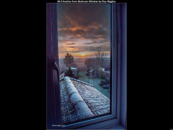 IMG072 (1) (1) (1) (1)