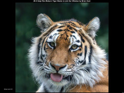 IMG074 (1) (1) (1) (1)