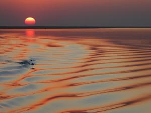 In the ship's wake at sunset