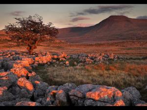 Ingleborough dusk