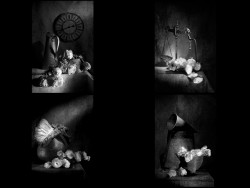 K-Catching the Light