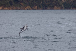 Katy Tracey - Ahh I'M Allergic to Water!
