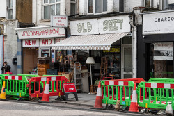 Katy-TraceyHonesty-is-the-Best-Policy