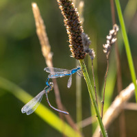 Katy Tracey - Hurry Up Dave, I Haven't Got All Day!