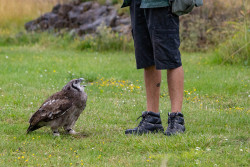 Katy Tracey - I Demand to Speak to Your Manager!
