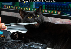 Katy-TraceyIs-the-Pen-Mightier-Than-the-Claw¬