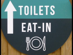 Mary Dominey - Dissentry Here We Come!